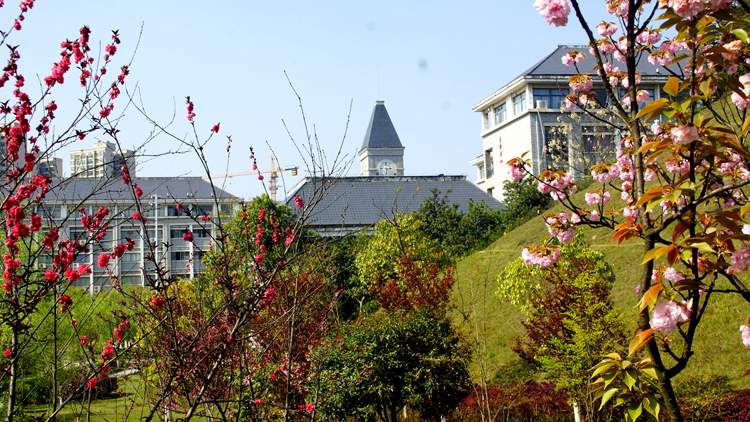 bevictor伟德官网