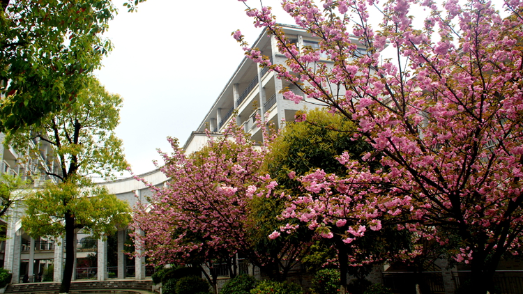 bevictor伟德官网