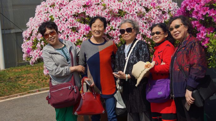 bevictor伟德官网