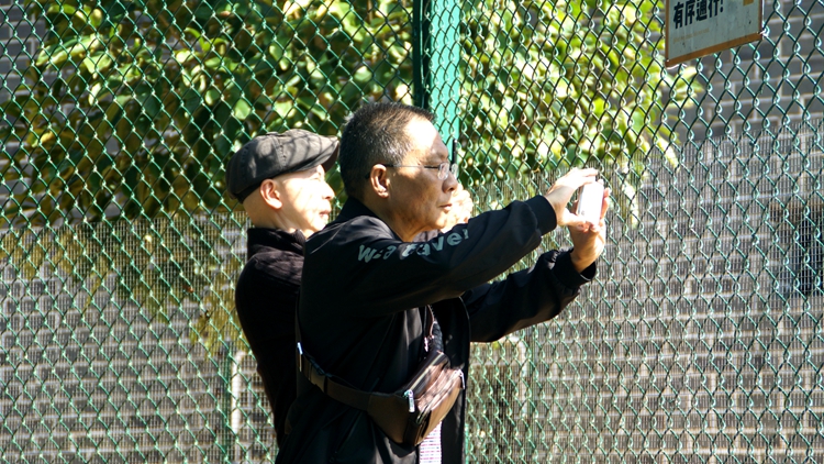 bevictor伟德官网