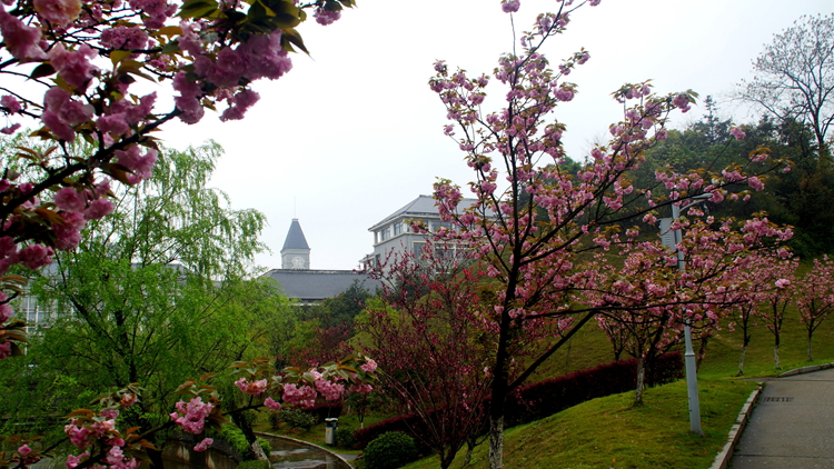 bevictor伟德官网