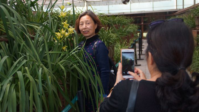 bevictor伟德官网