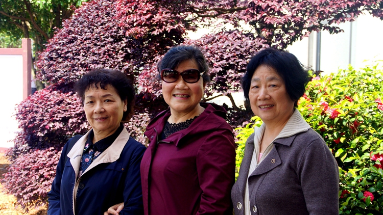 bevictor伟德官网