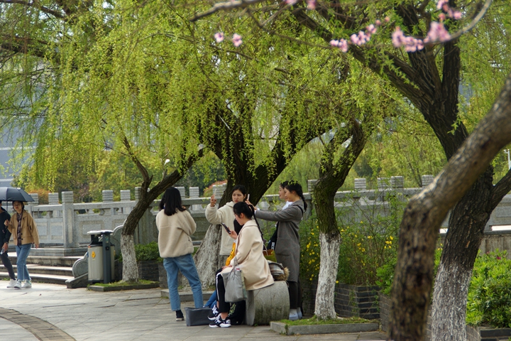 bevictor伟德官网