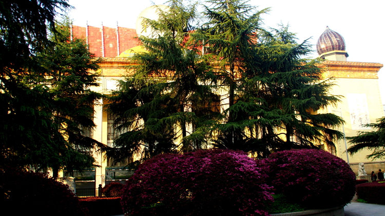 bevictor伟德官网