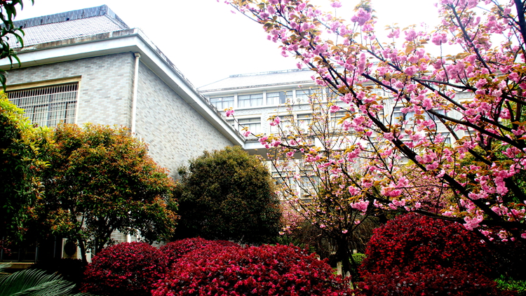 bevictor伟德官网