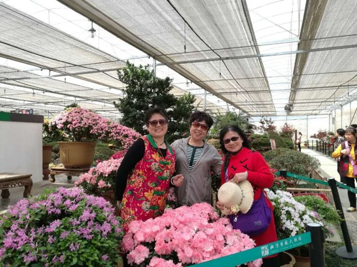 bevictor伟德官网