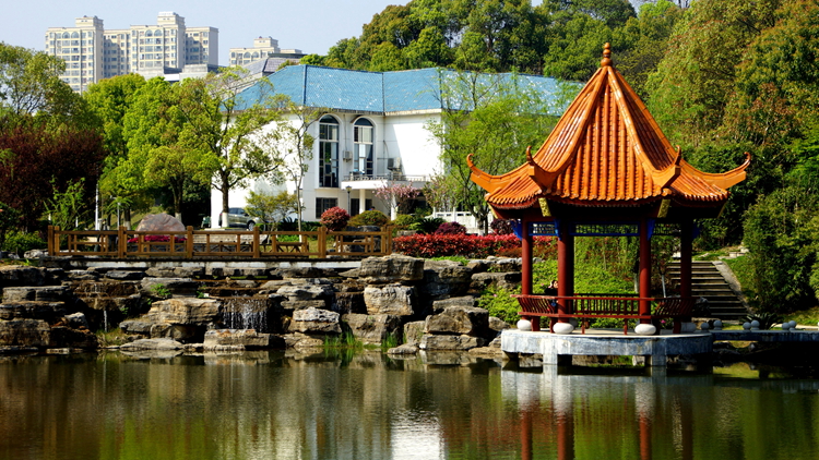 bevictor伟德官网