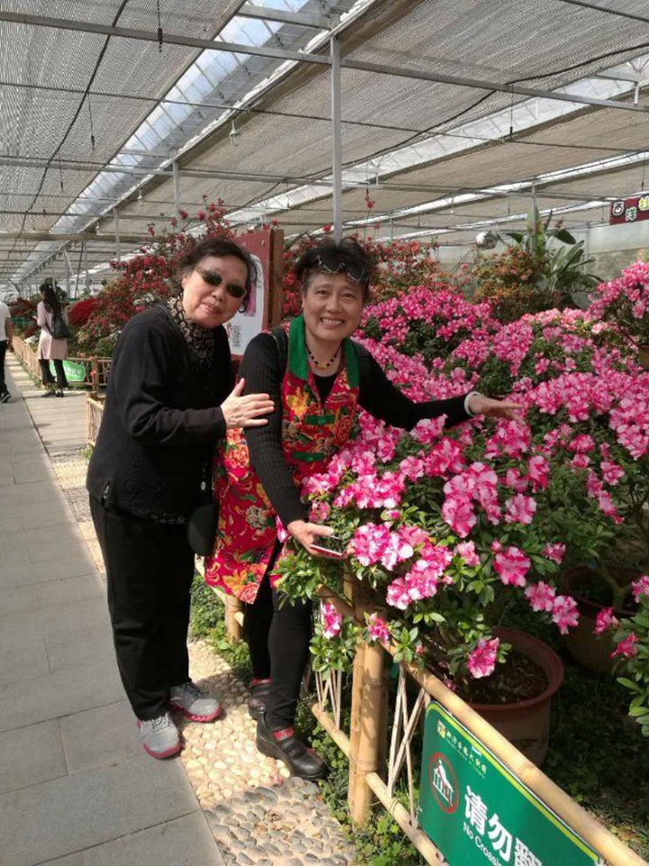 bevictor伟德官网