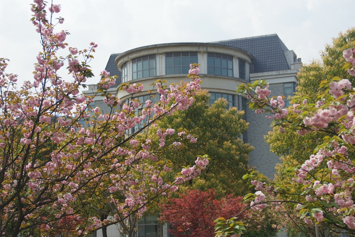 bevictor伟德官网