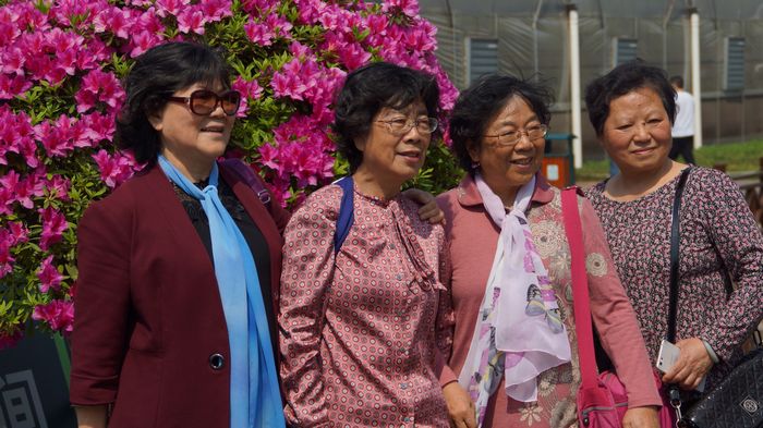 bevictor伟德官网