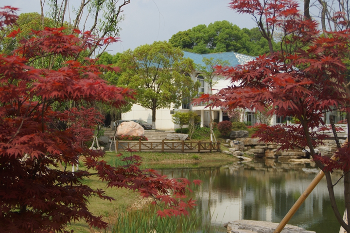 bevictor伟德官网