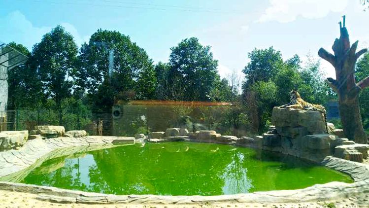 bevictor伟德官网