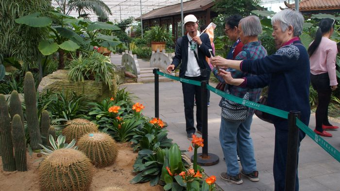 bevictor伟德官网