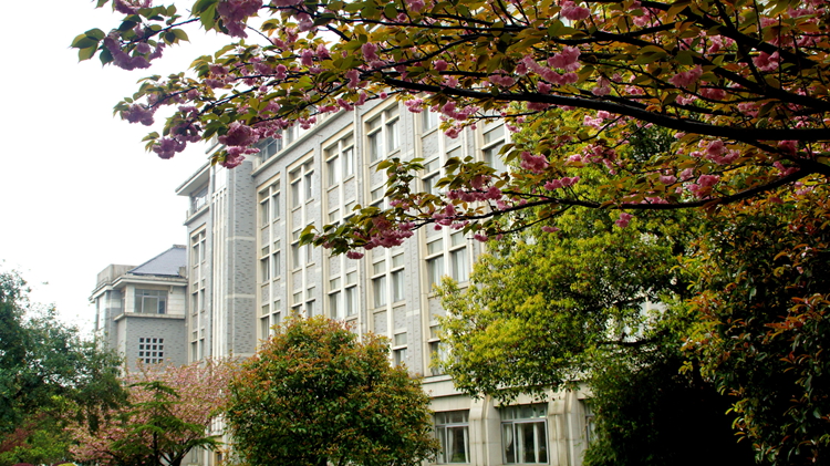 bevictor伟德官网