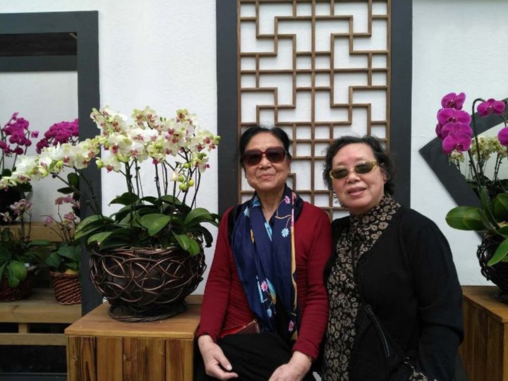 bevictor伟德官网