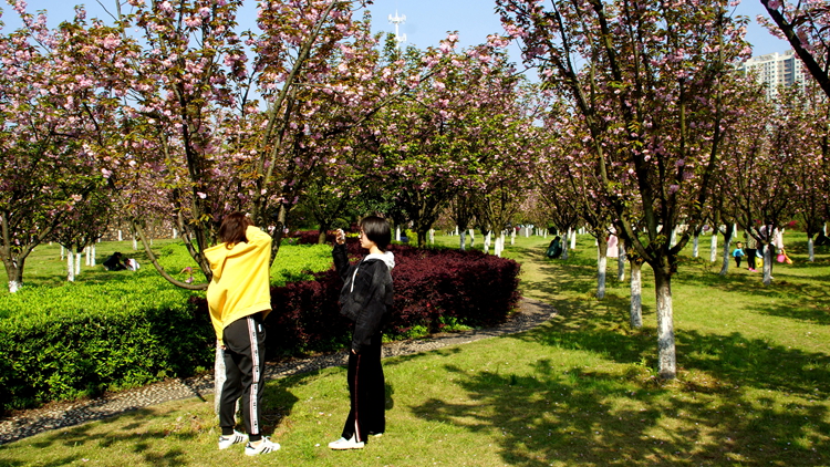 bevictor伟德官网