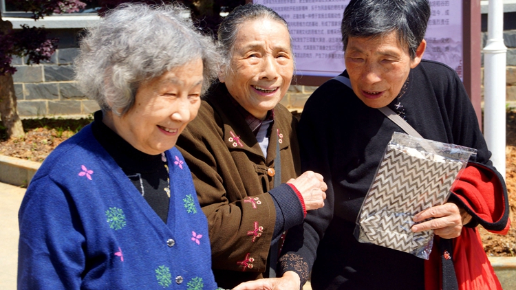 bevictor伟德官网