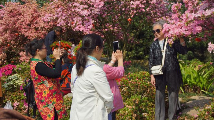 bevictor伟德官网