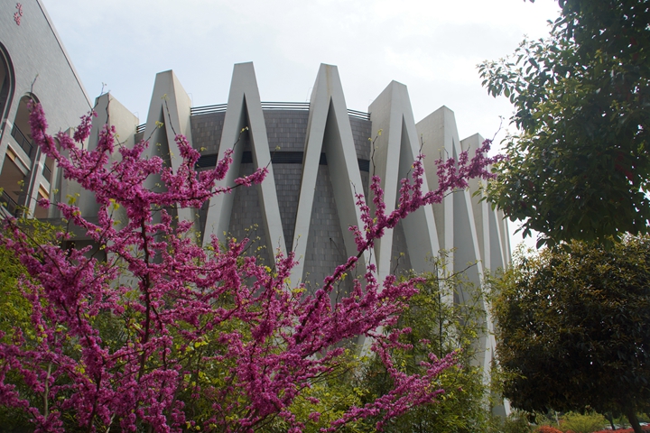 bevictor伟德官网