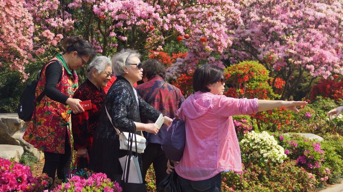 bevictor伟德官网