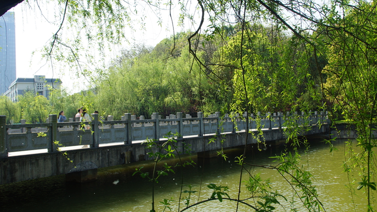 bevictor伟德官网