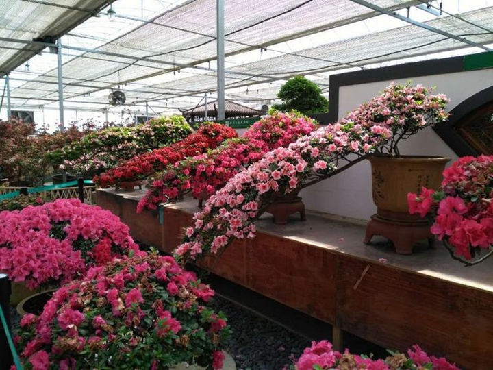 bevictor伟德官网