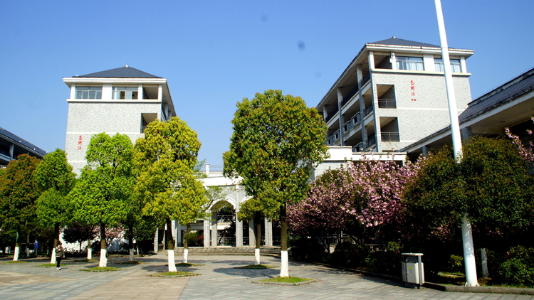 bevictor伟德官网