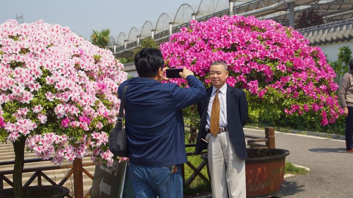 bevictor伟德官网