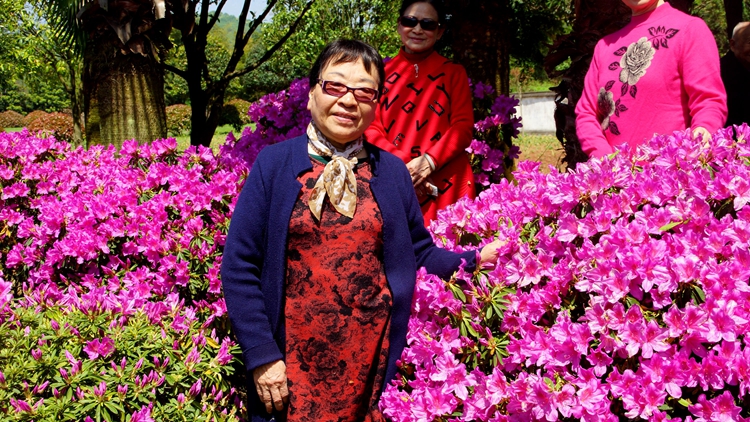 bevictor伟德官网