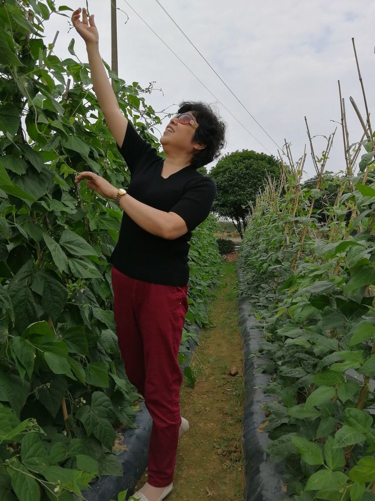 bevictor伟德官网