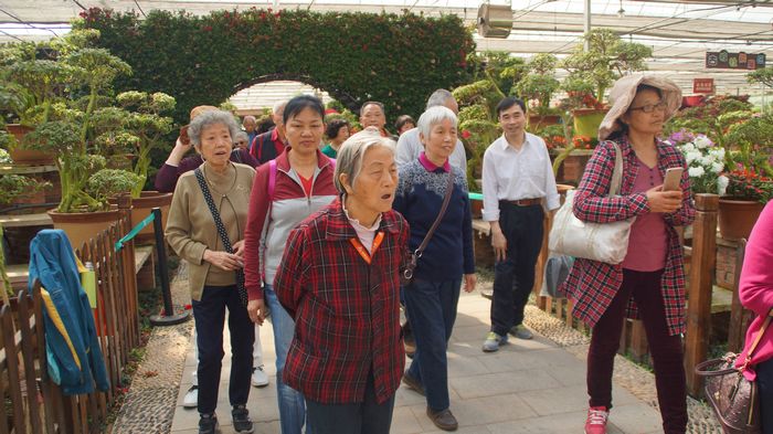 bevictor伟德官网