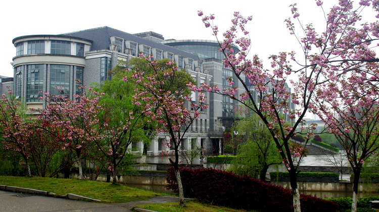 bevictor伟德官网