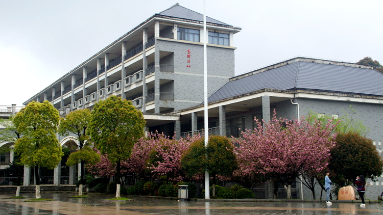 bevictor伟德官网