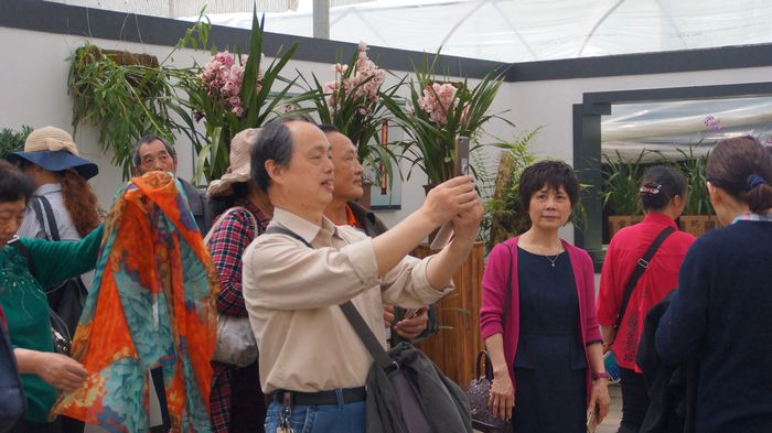 bevictor伟德官网