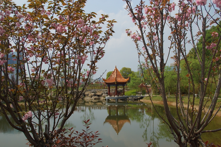 bevictor伟德官网