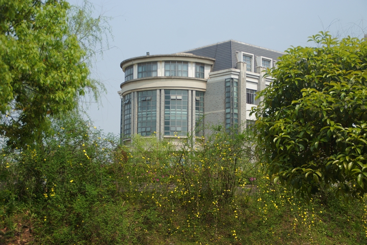 bevictor伟德官网