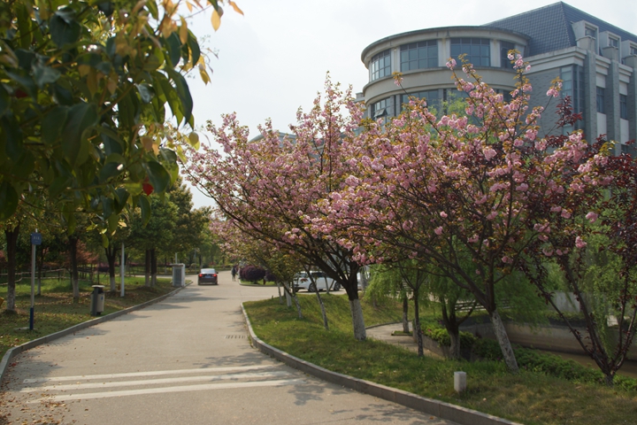 bevictor伟德官网