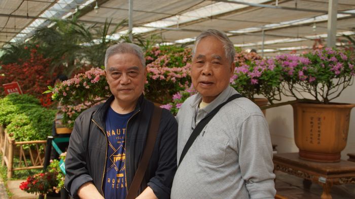 bevictor伟德官网