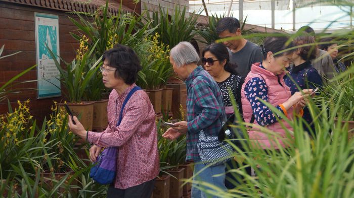 bevictor伟德官网