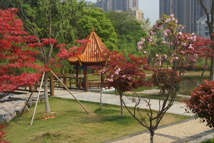 bevictor伟德官网