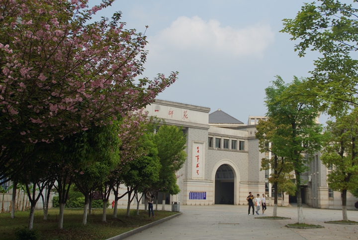 bevictor伟德官网