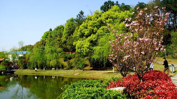 bevictor伟德官网