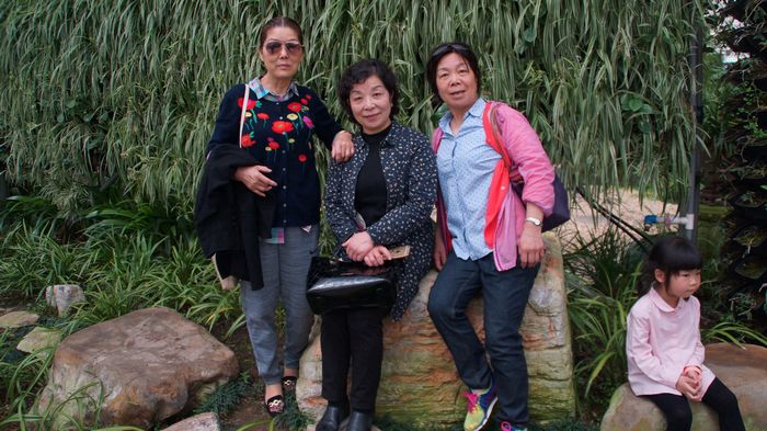 bevictor伟德官网