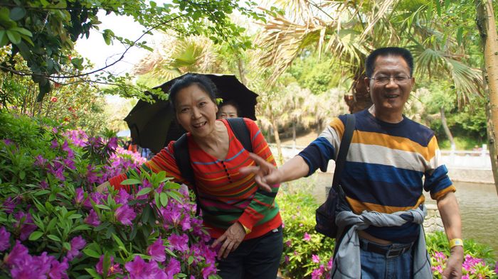 bevictor伟德官网