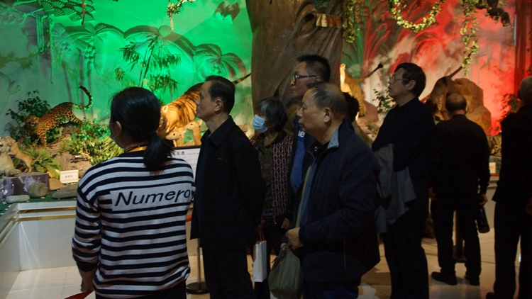 bevictor伟德官网