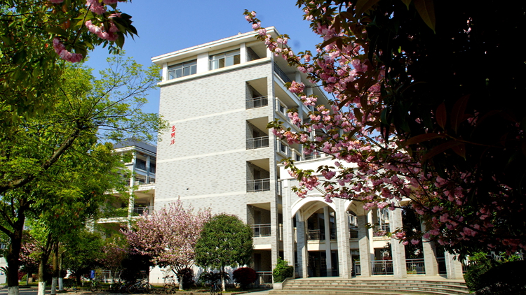 bevictor伟德官网