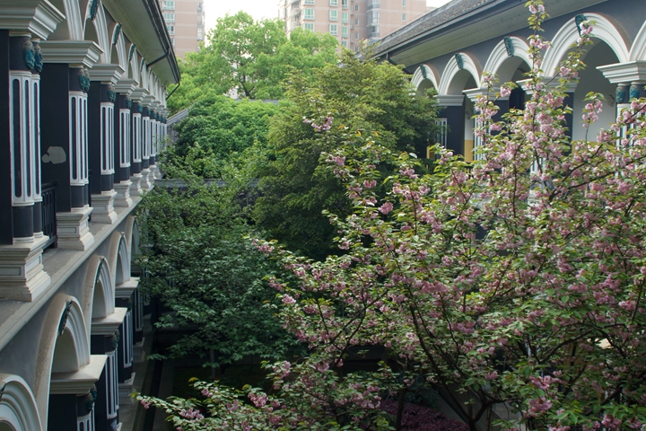 bevictor伟德官网