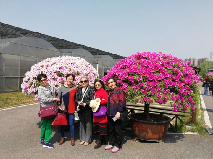 bevictor伟德官网