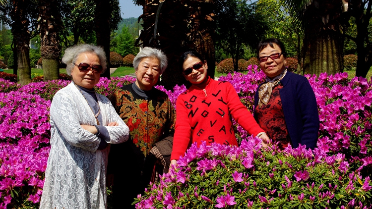 bevictor伟德官网